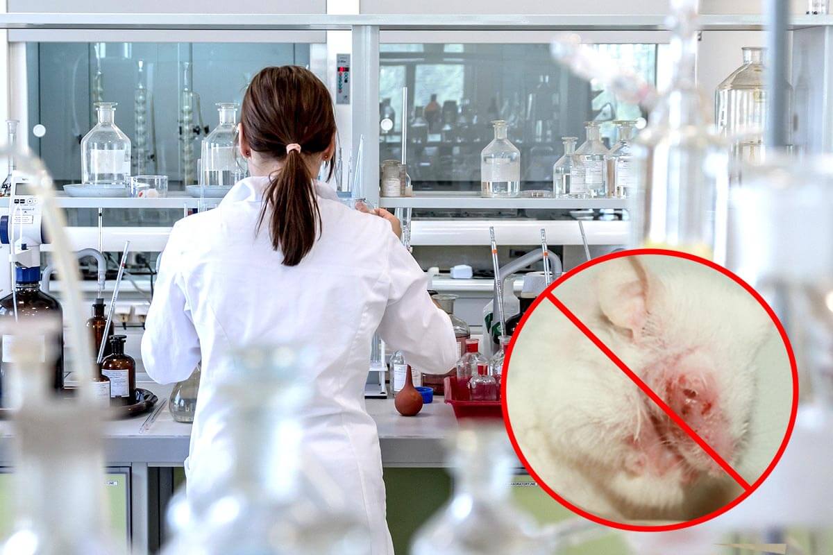 Globaler Fortschritt: Hautallergietests ohne Tierversuche