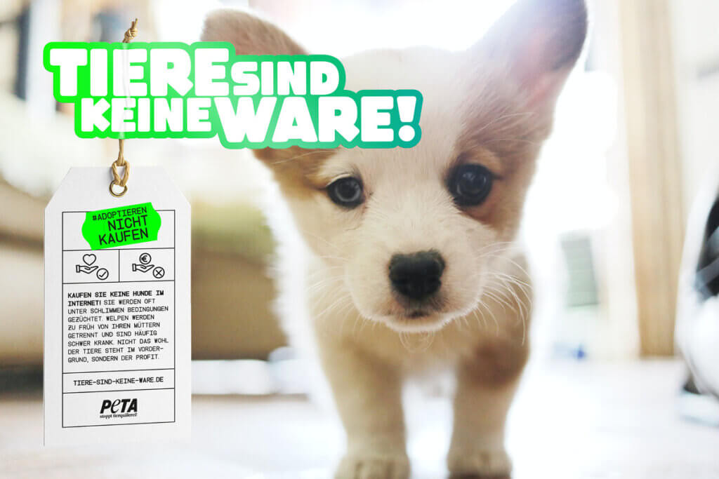 PETA Motiv Hund Tiere sind keine Ware