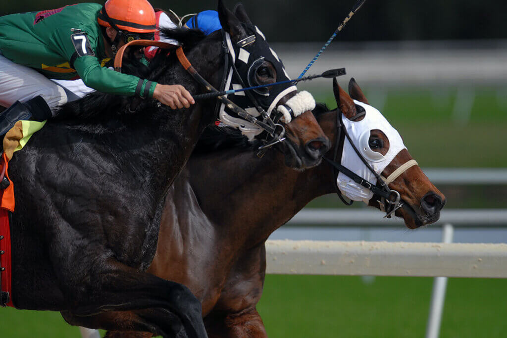 Jockey auf Pferd bei einem Rennen