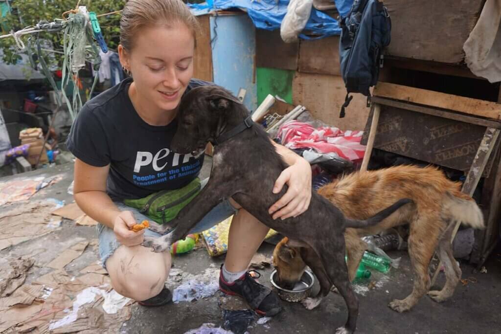 PETA Mitarbeiterin fuettert Hunde