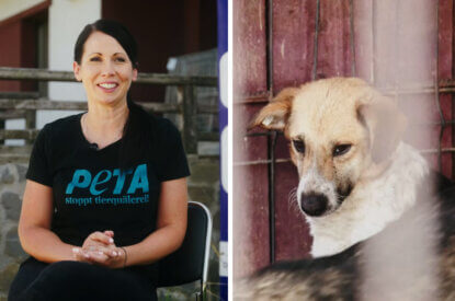 doku peta helps romania