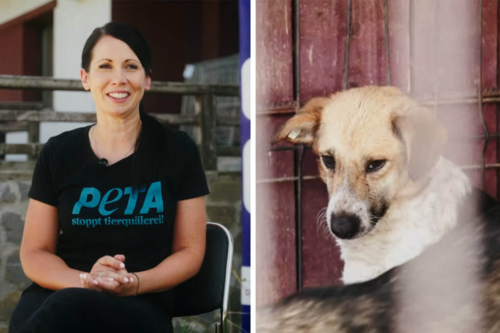 Doku über PETAs Kastrationsprojekt: „Hunderunde“ in Rumänien