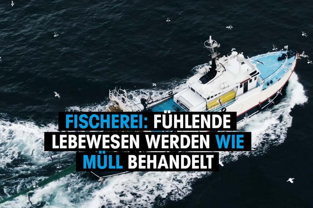 schiff auf dem wasser