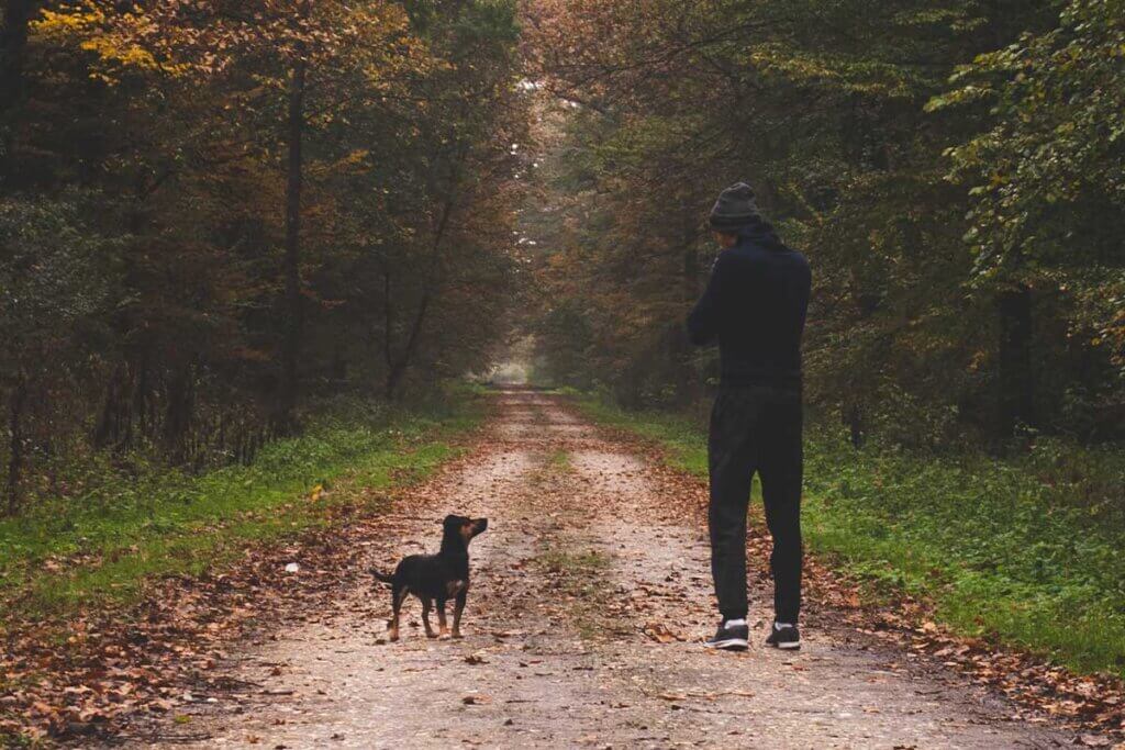 Mann spaziert im Wald mit Hund