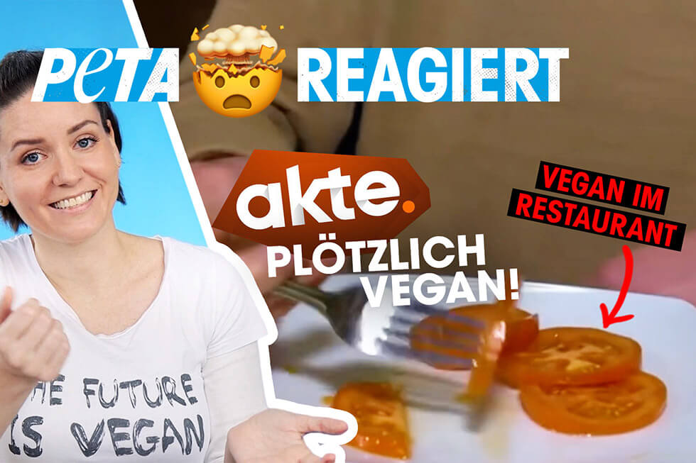 PETA Reagiert Thumbnail