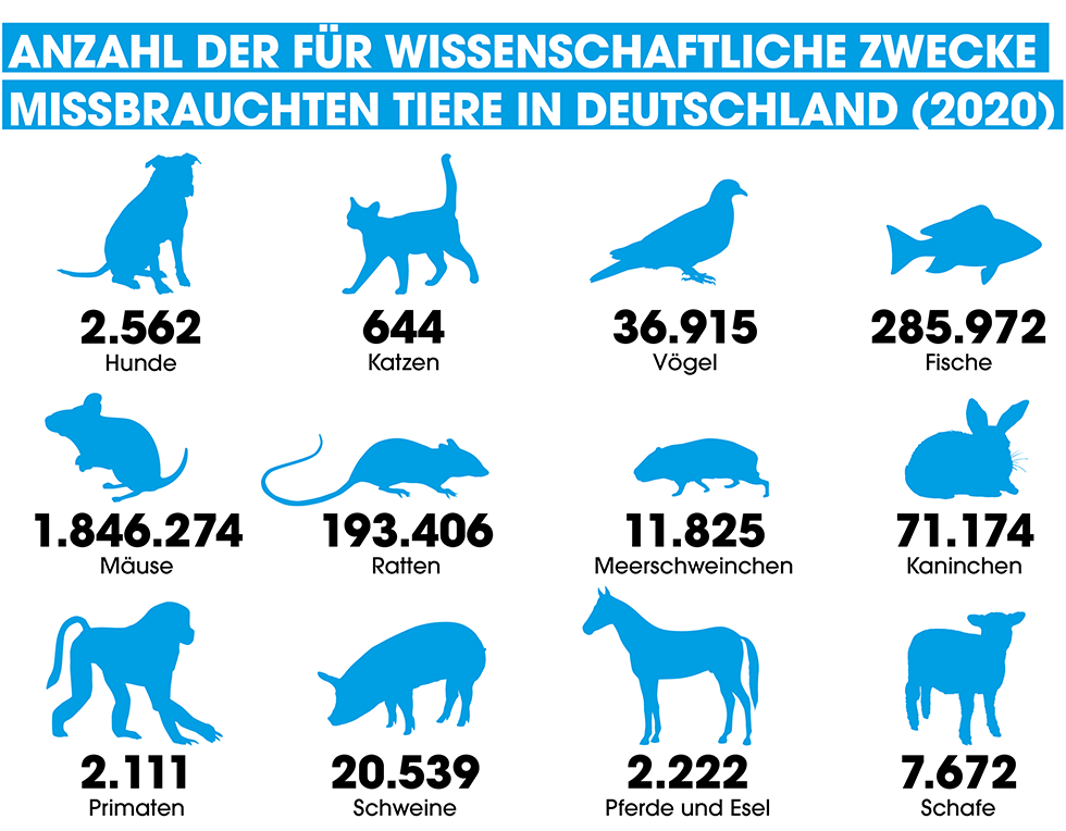 Grafik. Anzahl der Tiere, die in Tierversuchen missbraucht wurden in 2020