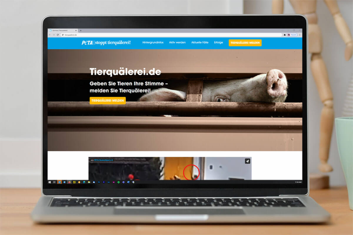 Neue PETA-Website: Hier können Sie Tierquälerei melden!