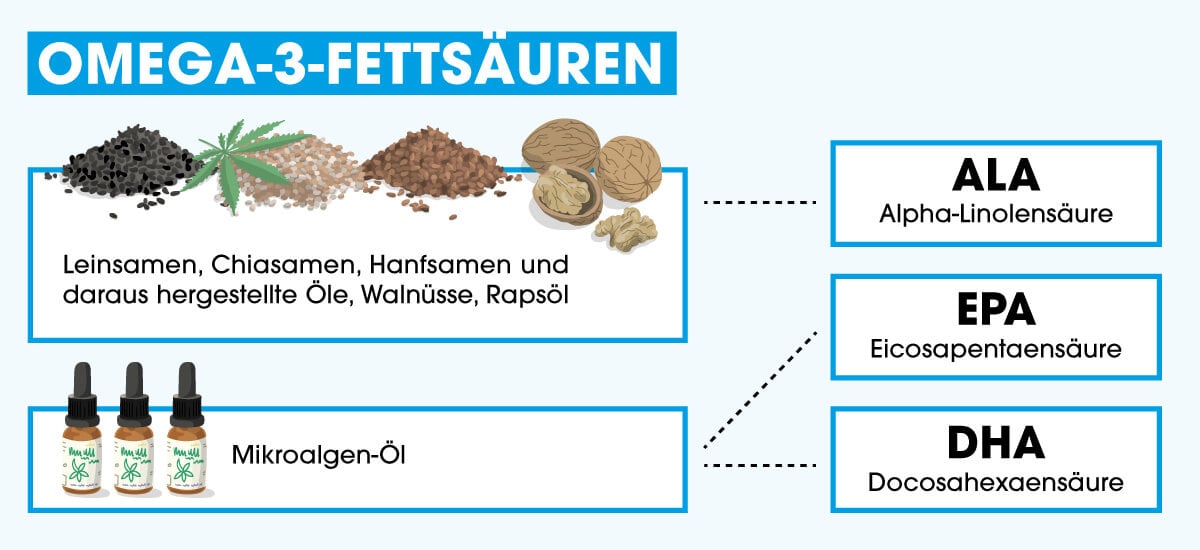 Omega3Bedarf vegan decken Die besten pflanzlichen Quellen