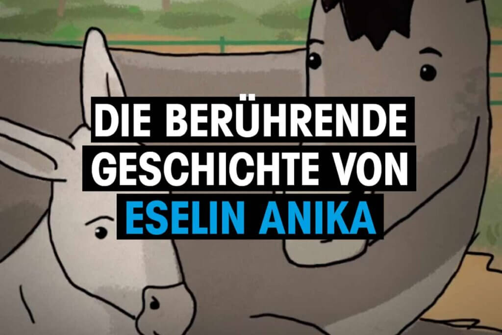 Video Thumbnail. Die beruehrende Geschichte von Eselin Anika