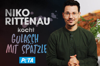veganes gulasch niko rittenau