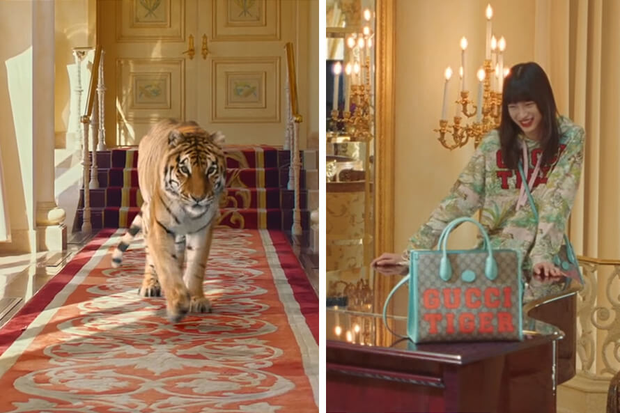 Tiger, Affen und Eulen leiden für Gucci-Werbung – jetzt helfen!