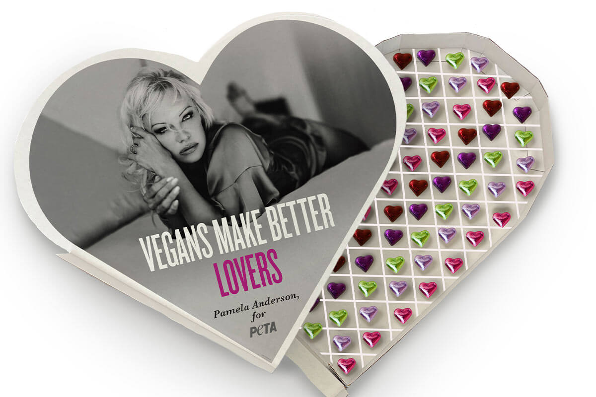 Valentinskampagne mit Pamela Anderson: „Veganer sind die besseren Liebhaber“