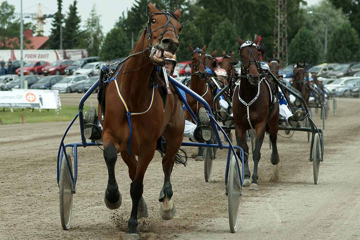 Trabrennsport: Starb Hopium de Cambri wegen Fahrlässigkeit?