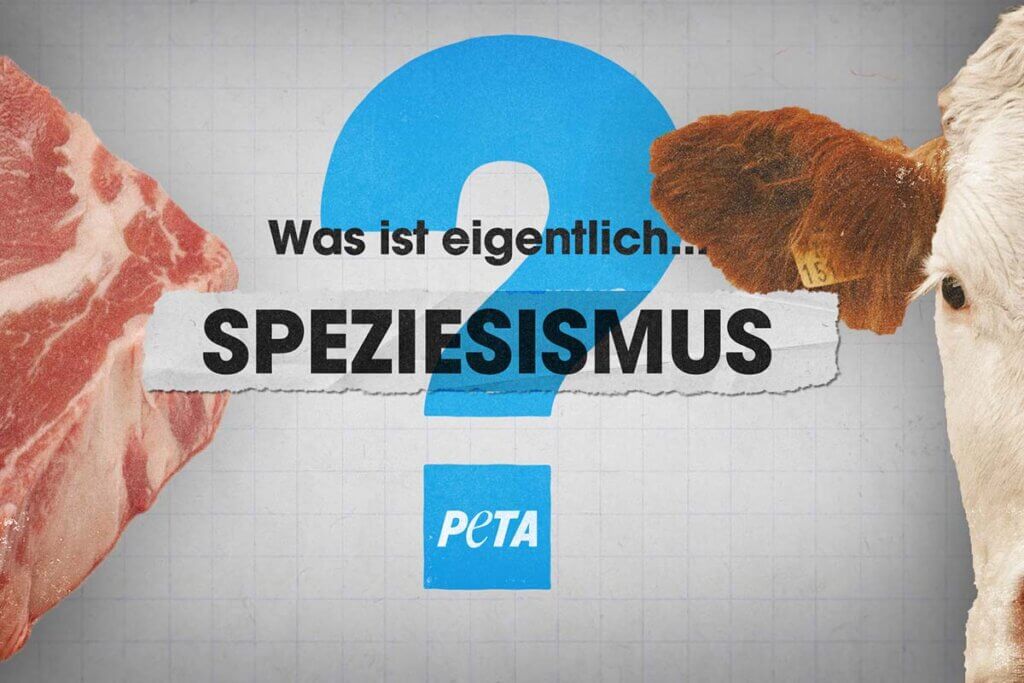 speziesismus