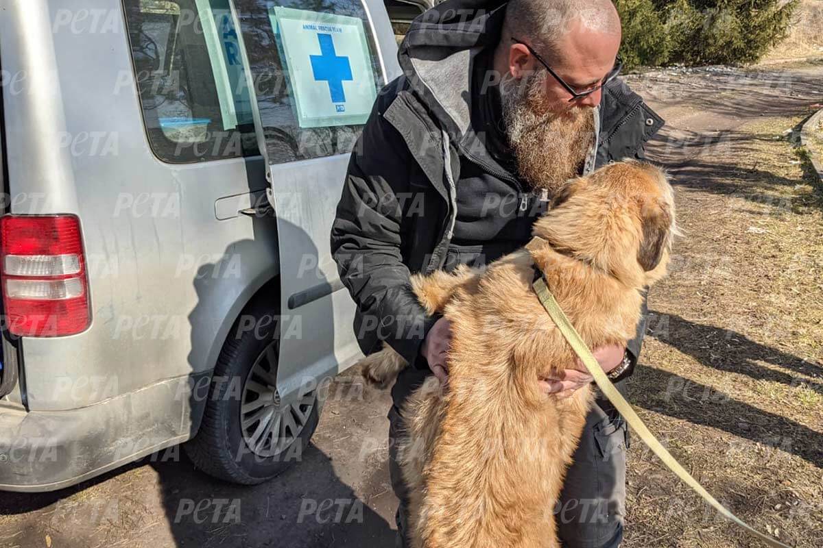 Mann haelt geretteten Hund