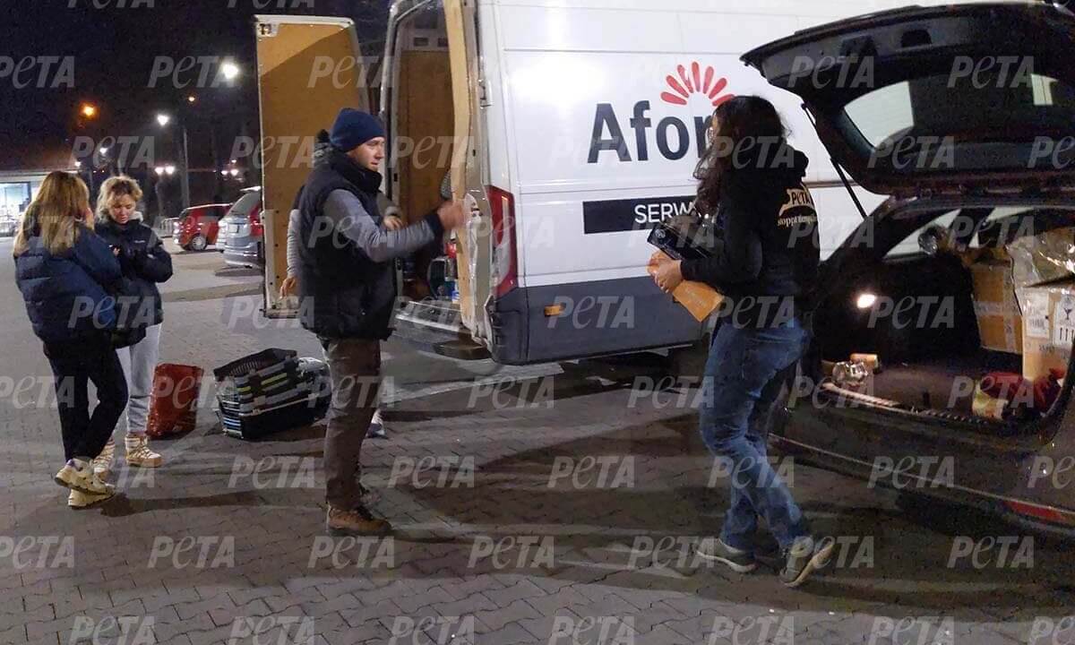 Personen verladen Tiernahrung