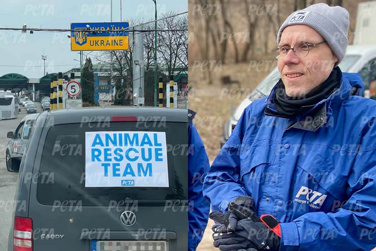 Bericht aus der Ukraine: So hilft das PETA-Team Tieren vor Ort