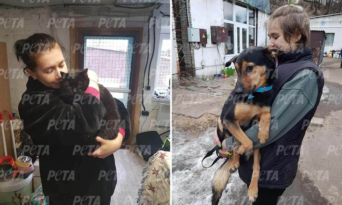 Collage. Personen mit Katze und Hund auf dem Arm