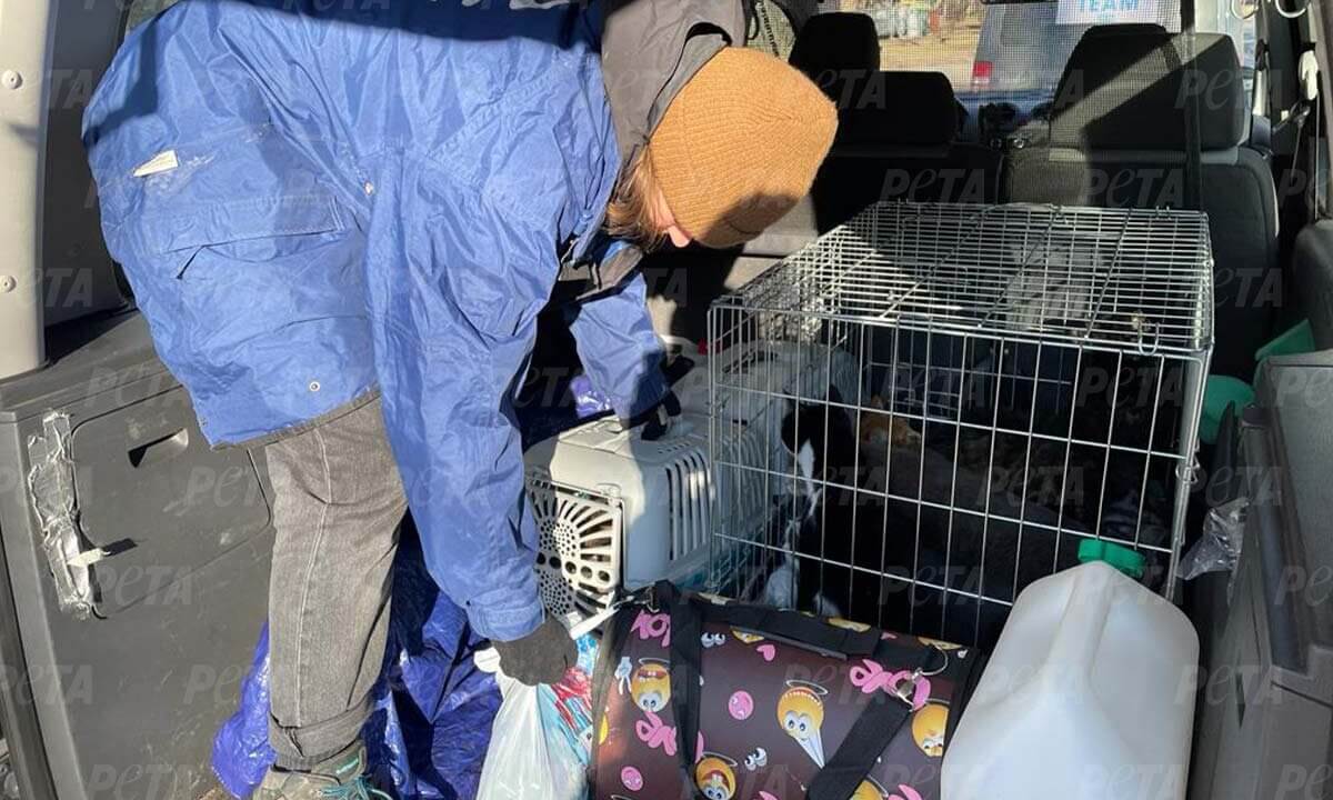 Transporter mit geretteten Tieren