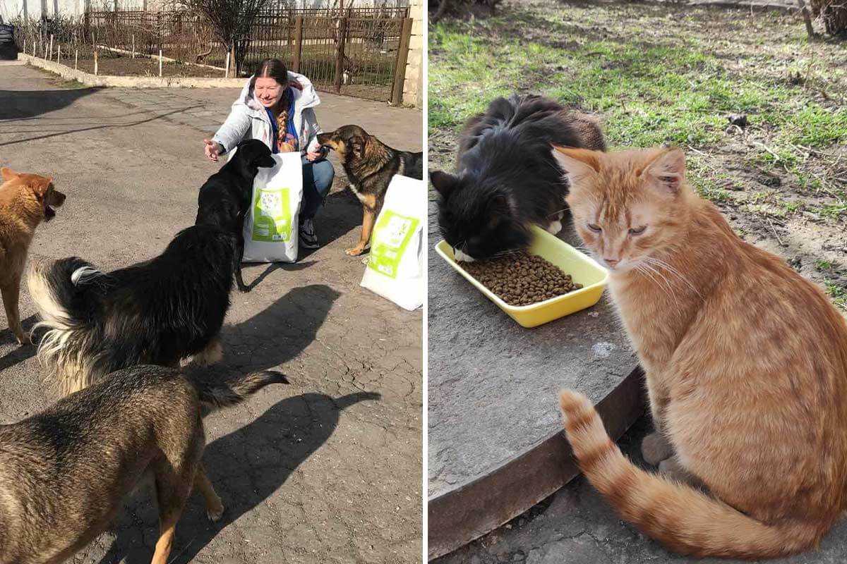 Dank Spenden: Hunderte Tonnen Tiernahrung kommen in der Ukraine an