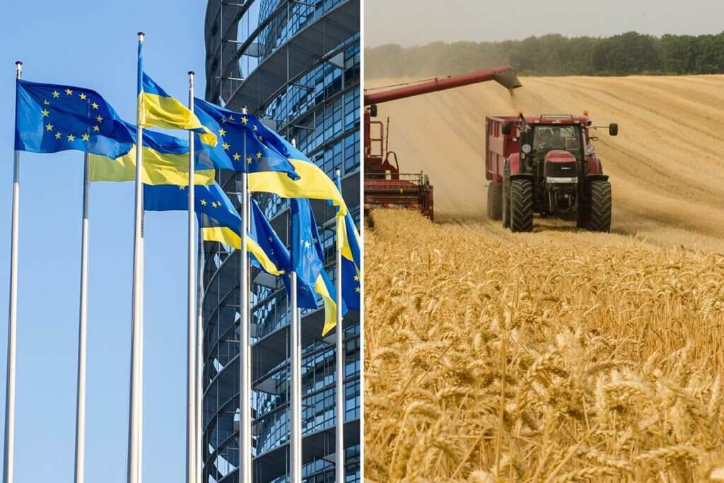Collage. EU Parlament und Weizenfeld