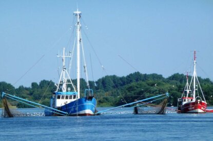 Fischerboote auf dem Meer mit Netzen im Wasser