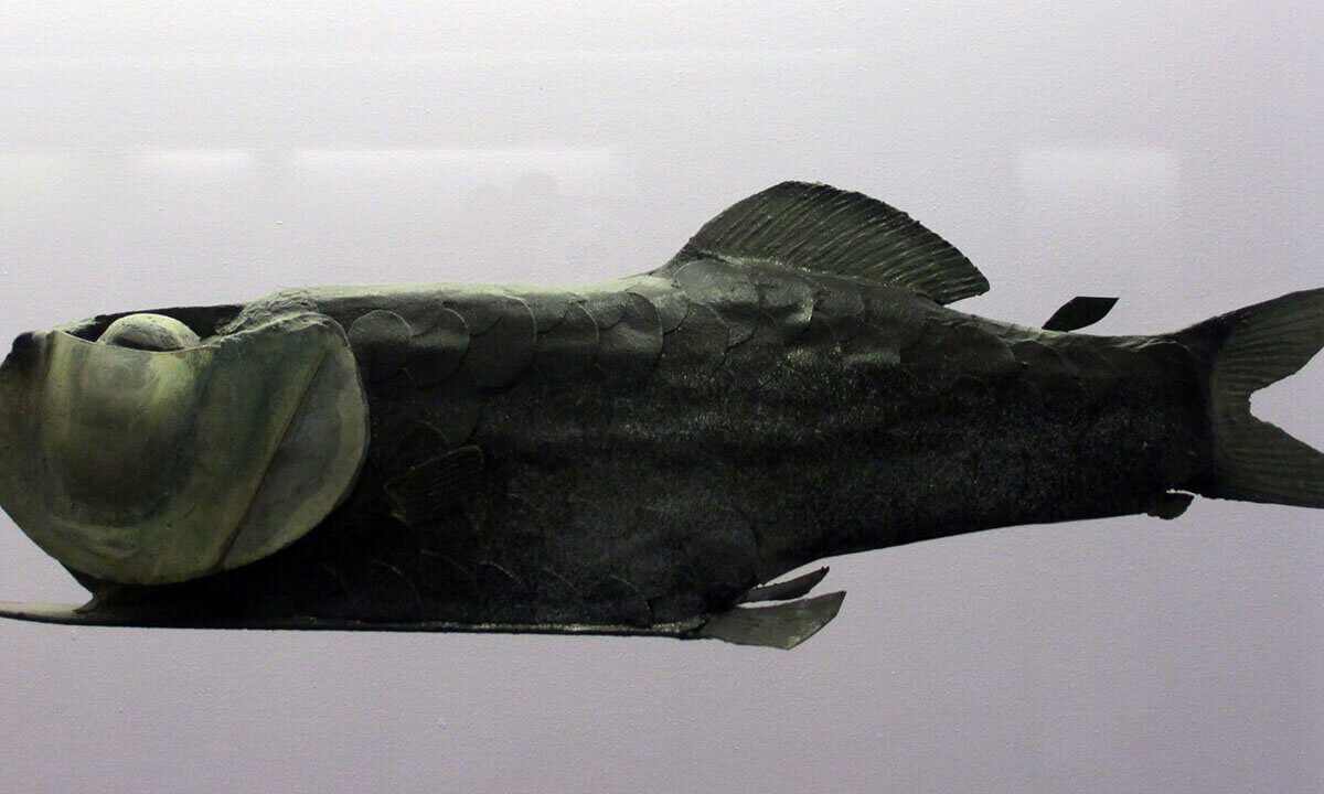 Gespensterfisch