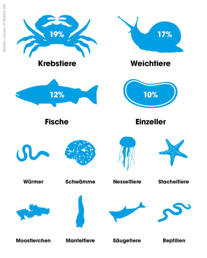 grafik über meerestiere