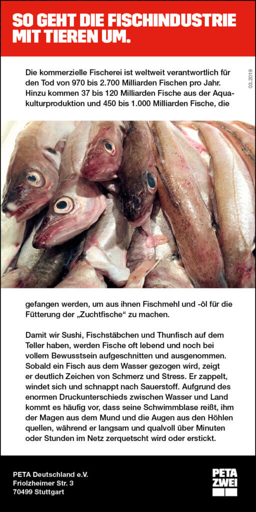PETA Flyer zu Fischen