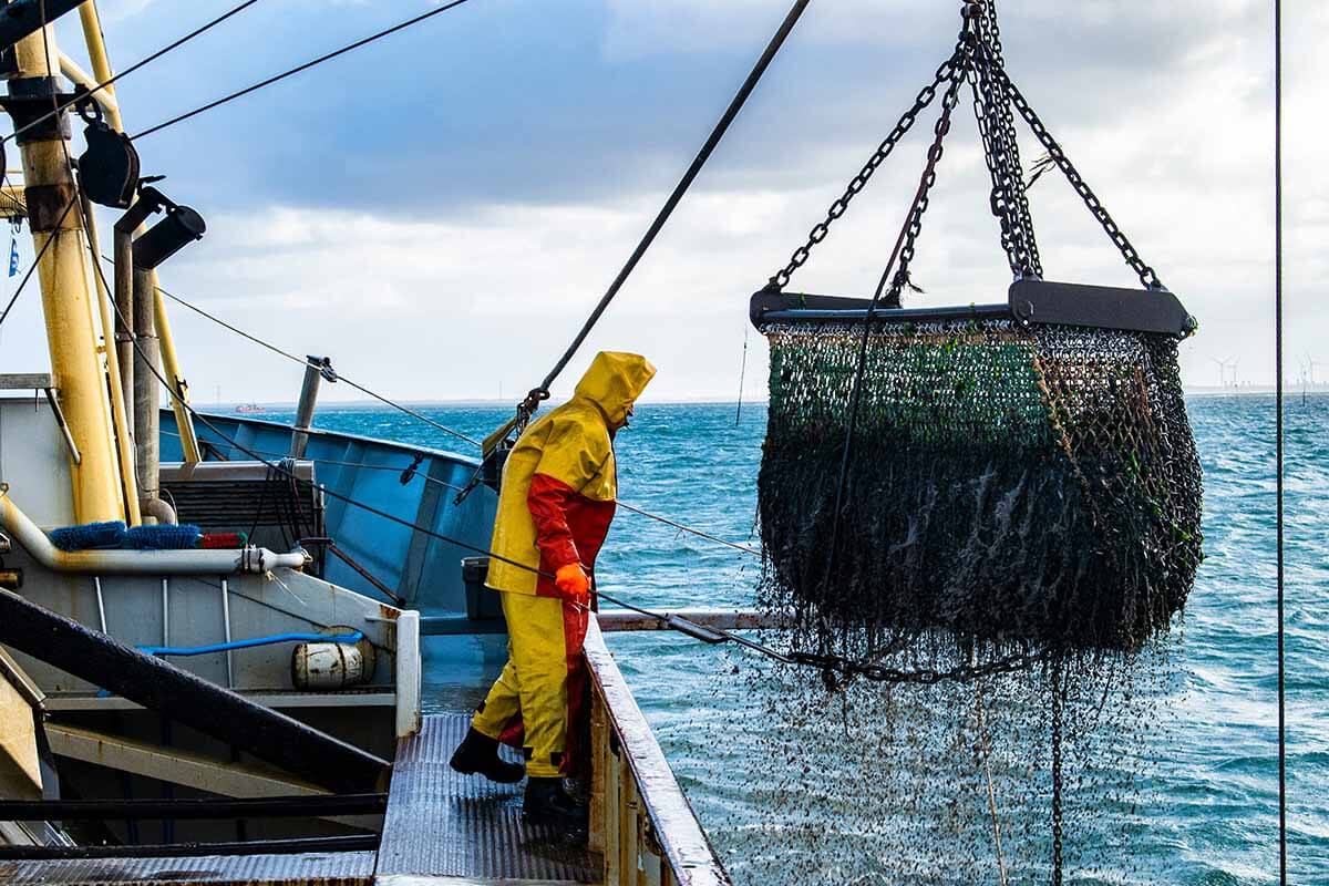 Ein Boot laesst ein Netz mit Fischen aus dem Meer herauf.