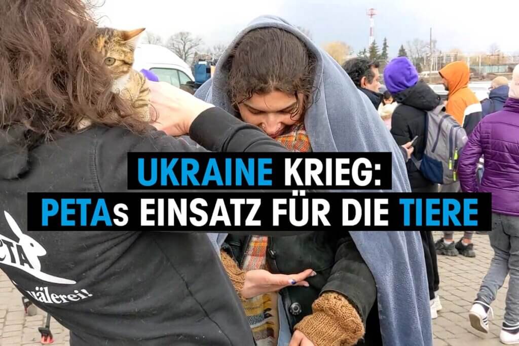 PETA Mitarbeiterin hilft Gefluechteten