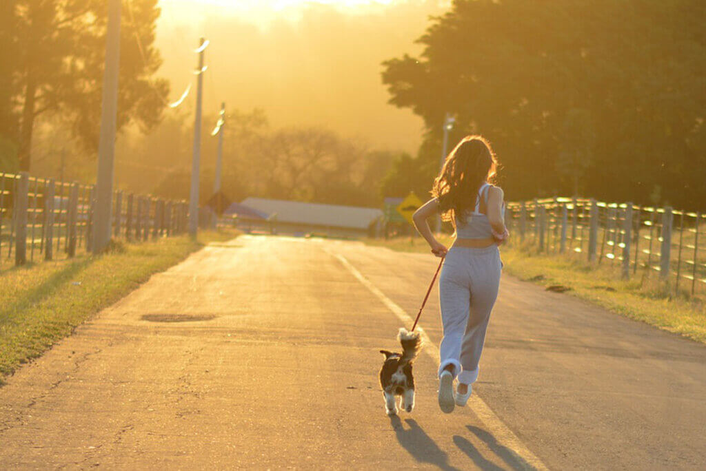 joggen mit hund