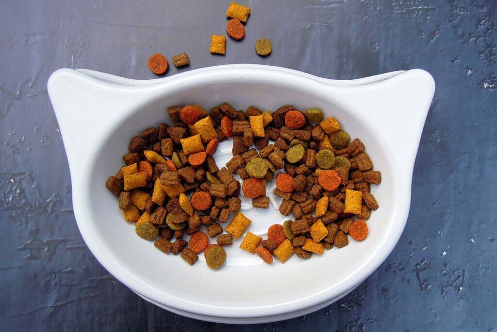 katzen essen