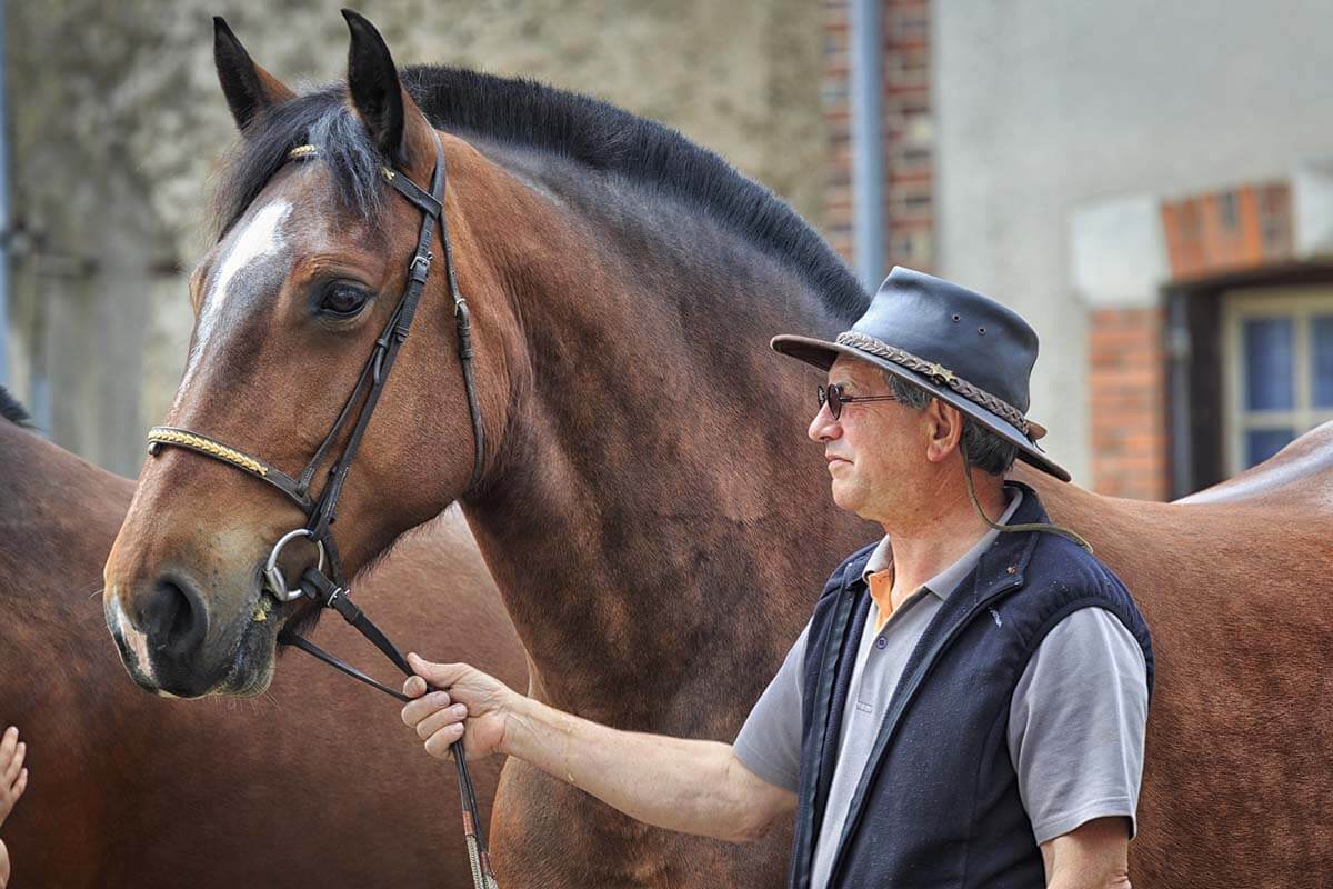 Equitana und Co.: Warum Sie Pferdemessen meiden sollten