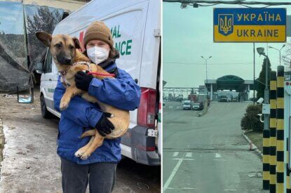 Collage. Frau mit Hund auf dem Arm. Grenze Polen und Ukraine