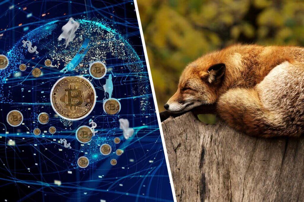 Collage. Kryptowaehrung und Fuchs
