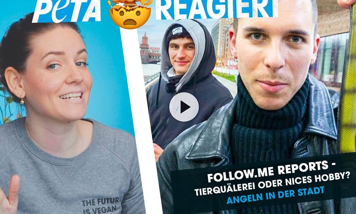 Thumbnail PETA reagiert auf follow me-Reports