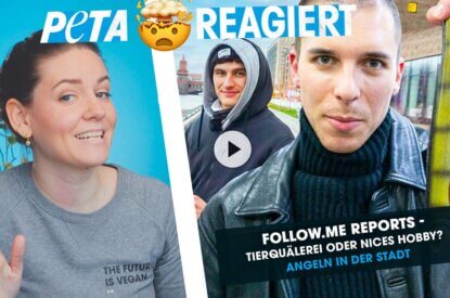 Thumbnail PETA reagiert auf follow me-Reports