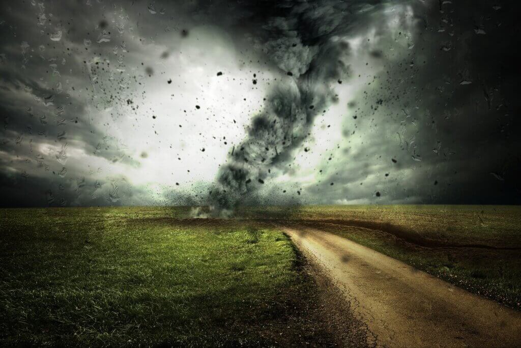 umwelt