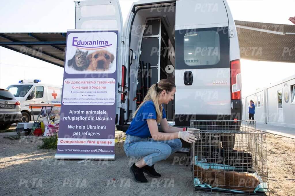 mobile klinik