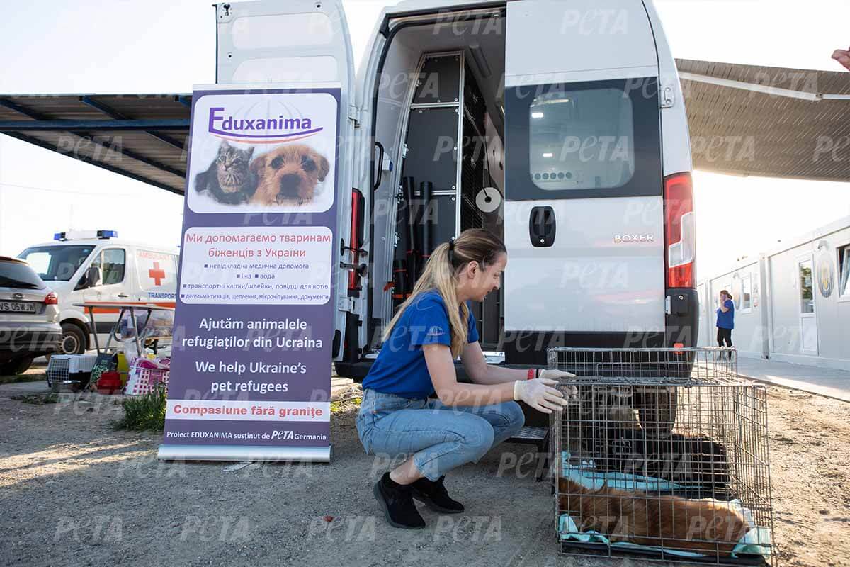 PETA HELPS ROMANIA mit mobiler Klinik im Ukraine-Einsatz