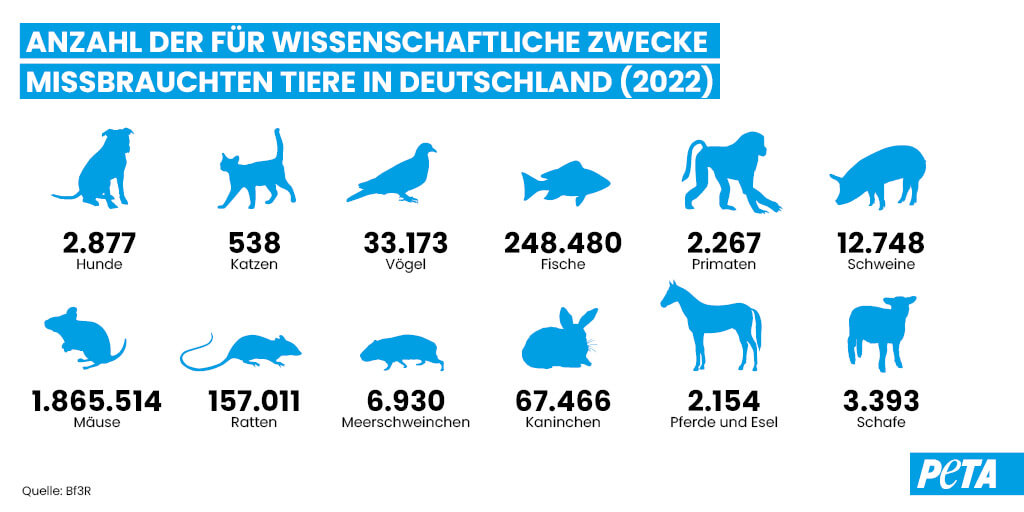 Grafik. Anzahl missbrauchter Tiere in Tierversuchen nach Tierarten.