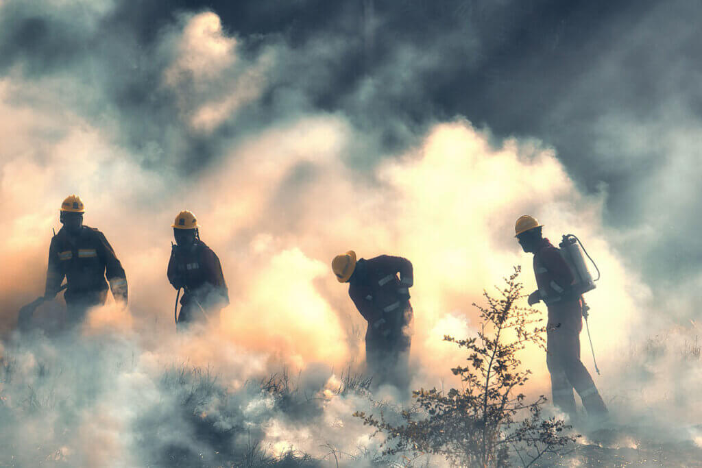 Feuerwehrleute loeschen einen Waldbrand.