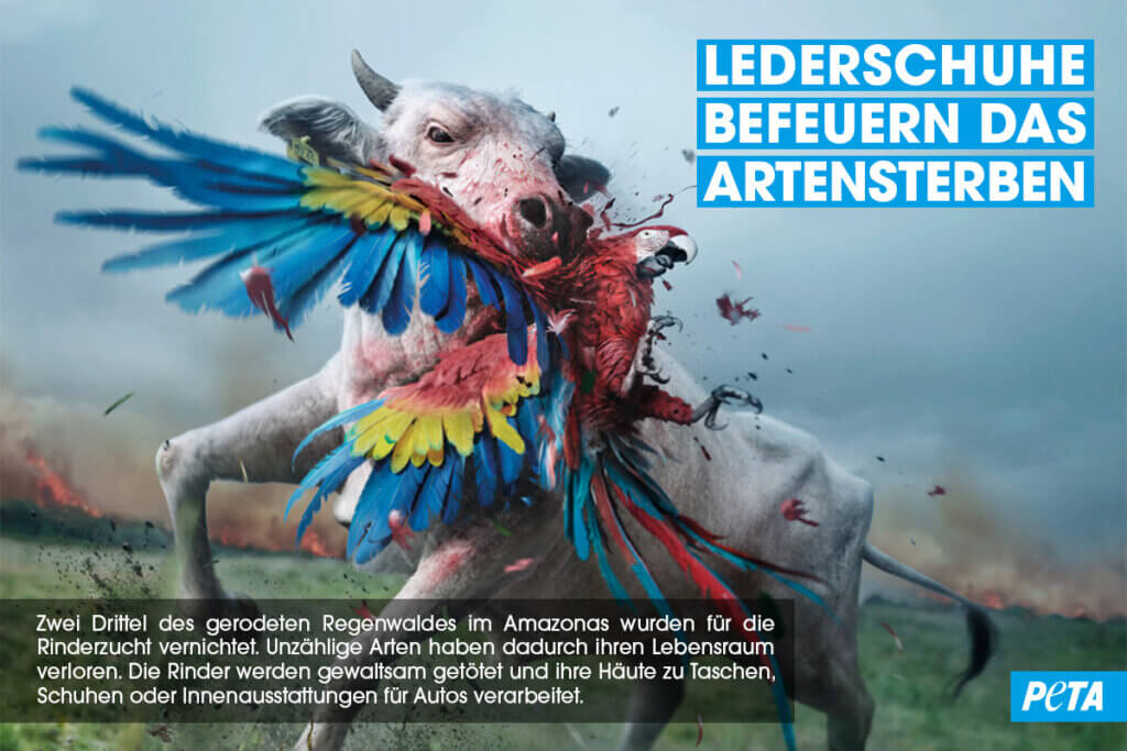 Die Leederproduktion - Flyer von PETA