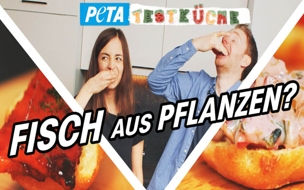 Veganer Fisch. PETA Testkueche Thumbnail