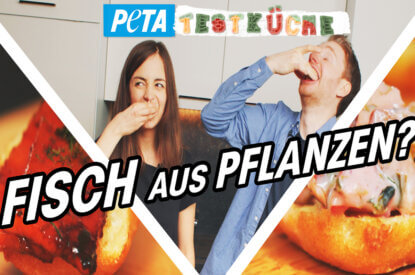 Veganer Fisch. PETA Testkueche Thumbnail