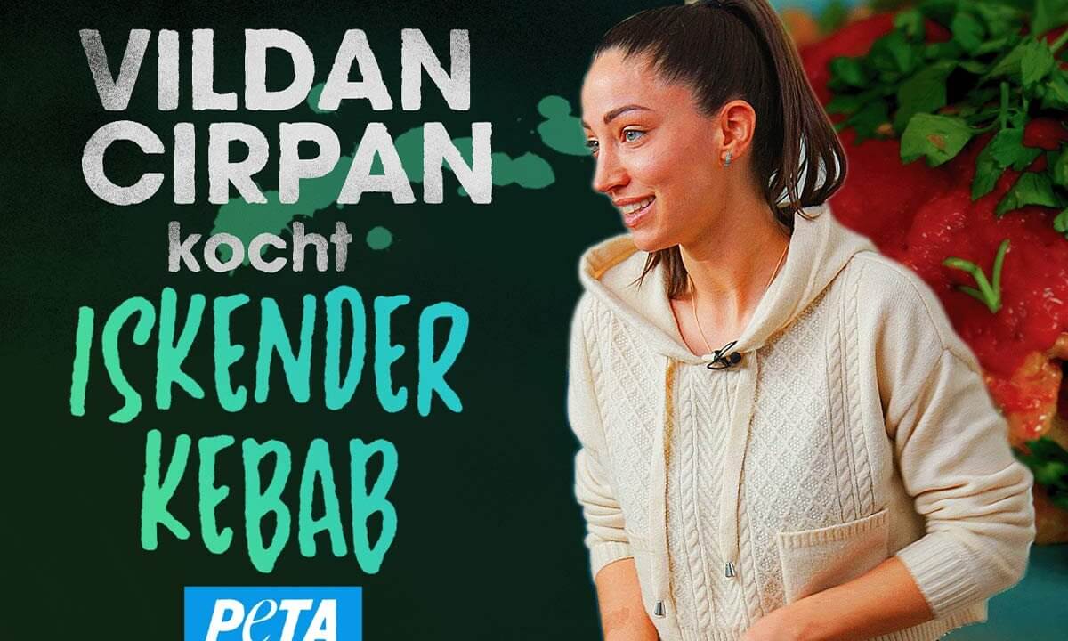 Veganer Iskender Kebab von Vildan Cripan