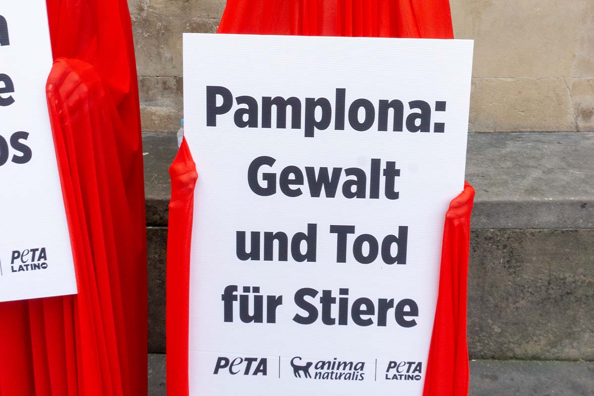 Protest gegen Stierrennen. Personen mit roten Tuechern und Hoernern halten Schilder.