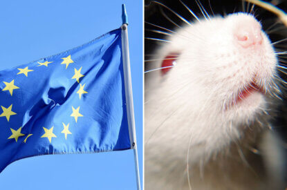 EU Tierversuche