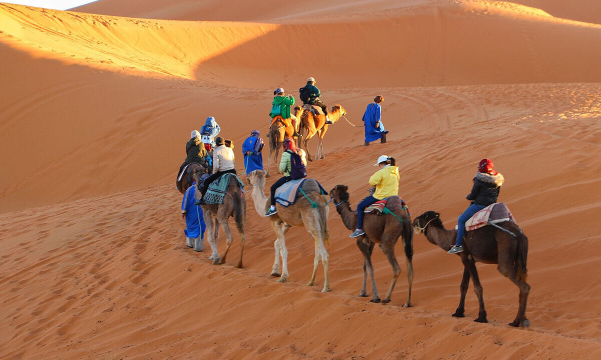 Personen reiten auf Kamelen durch die Wueste